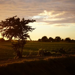 Daniel Andrade - Reunion