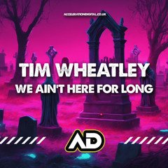 Tim Wheatley - We Aint Here For Long [Sample]