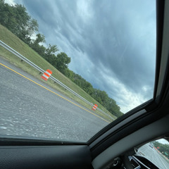 goldfish (jane remover cover)