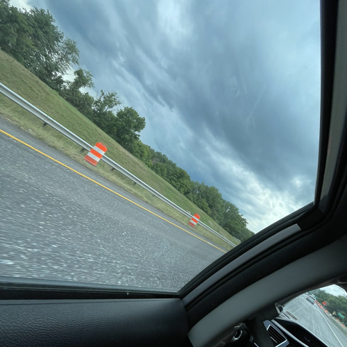 goldfish (jane remover cover)