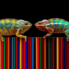 Chameleon By Crazy Indigo