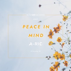 Peace In Mind