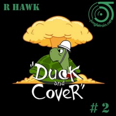 R Hawk - Duck and Cover #2 - jungletrain.net - 04 August 2023