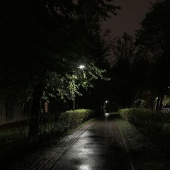 what its like to lose someone (rxi + denji + soni)