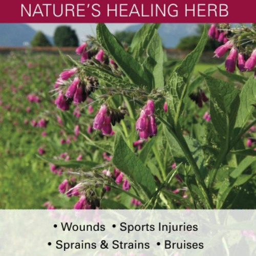 PDF READ Trauma Comfrey, Nature's Healing Herb: Wounds, Sports Injuries, Sprains