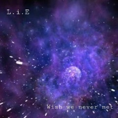 Wish We Never Met
