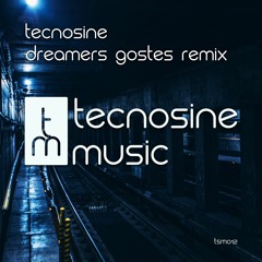 Tecnosine - Dreamers (Gostes Remix)