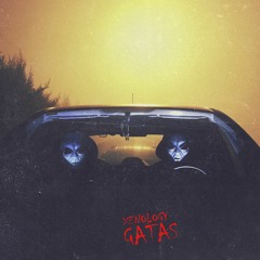 Xenology - Gatas (Original Mix) [OUT NOW SPOTIFY]