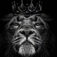 Remember When Dusties in Chicago