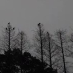 Trist - Trnový Labyrint (ending)