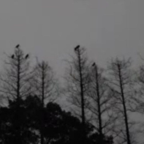 Trist - Trnový Labyrint (ending)