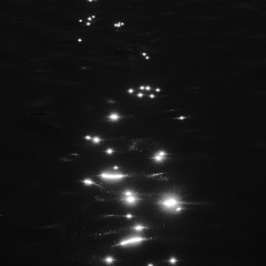In Dreams Absurd