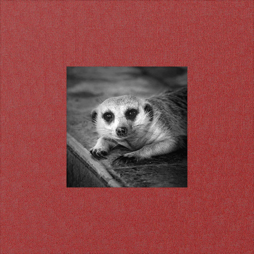 Memory Card (feat. leaf beach)