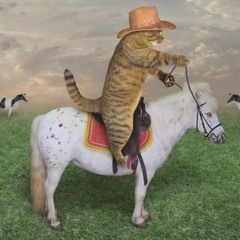 Wieso machst du Katzengeräusche? Das ein Pferd.