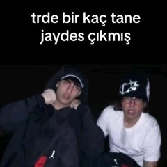 qimptoven allat