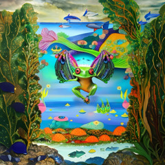 HavE YoU SeeN FlyinG FroG