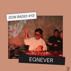 Don Records & Friends - EgneverTape 13