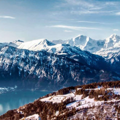 (Adamantra 17*11*2025 A. M.)