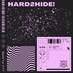 hard2hide! (prod. 48glock)