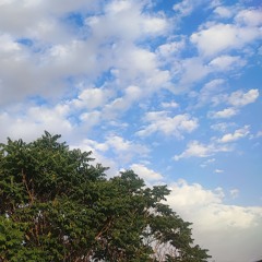 Drunk Cypress  (1).mp3