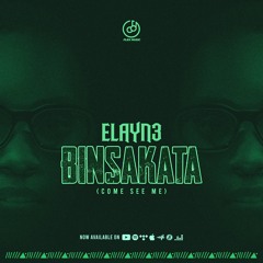 Binsakata
