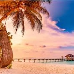 The 4k Ultimate Summer Playlist