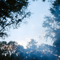 Simge @ The Forest Experiment 1.5