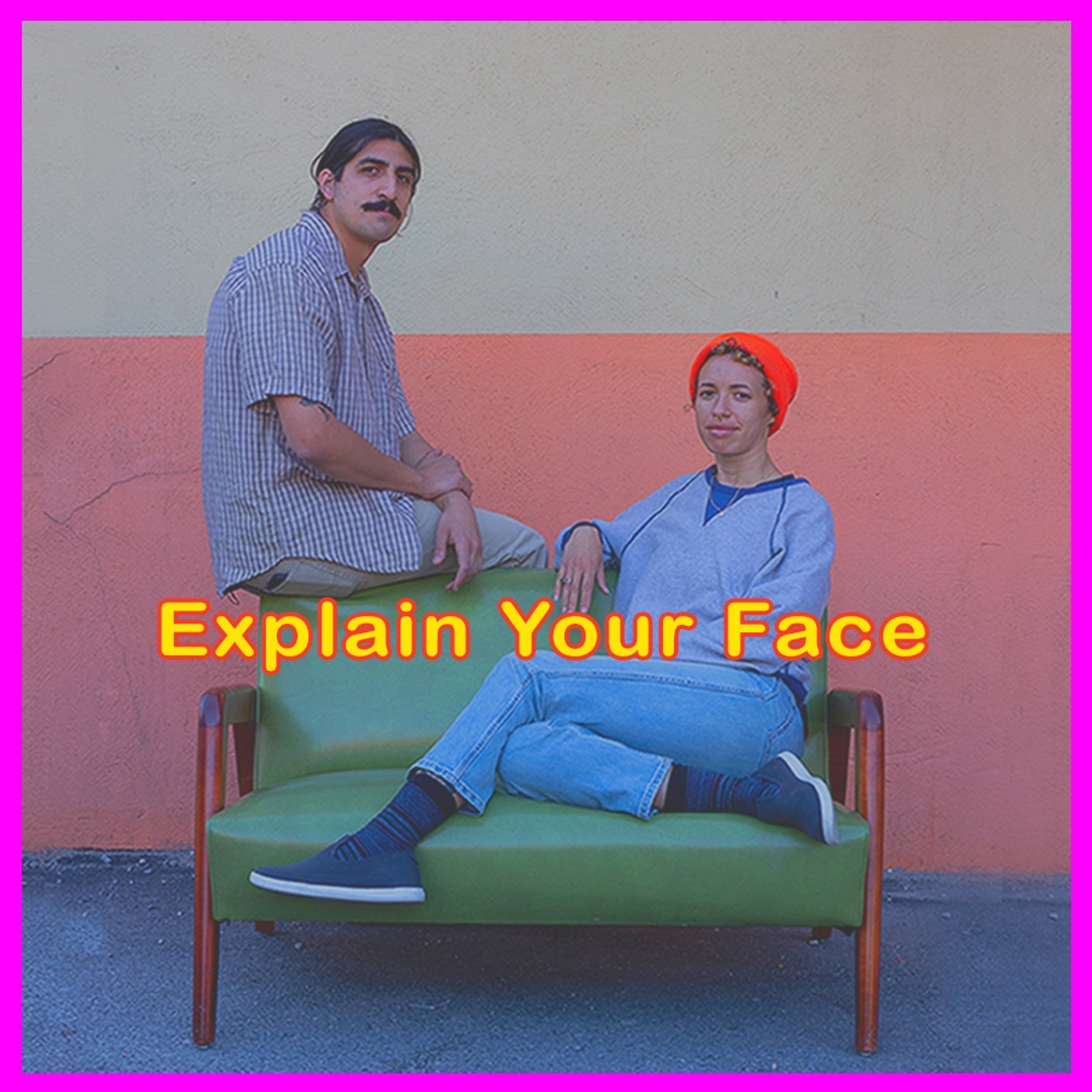 Explain Your Face