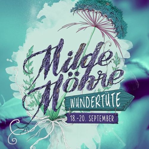 // Stefan Oldmann B2B Bob.Bele // Milde Möhre Festival 2020 //