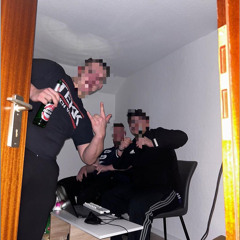 1. Nacht bei Dino