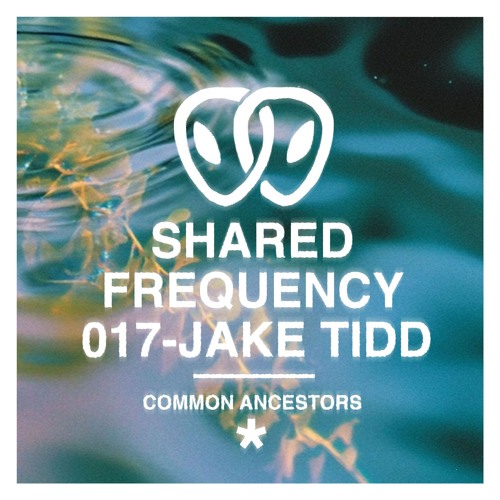 Shared Frequency 017: Jake Tidd
