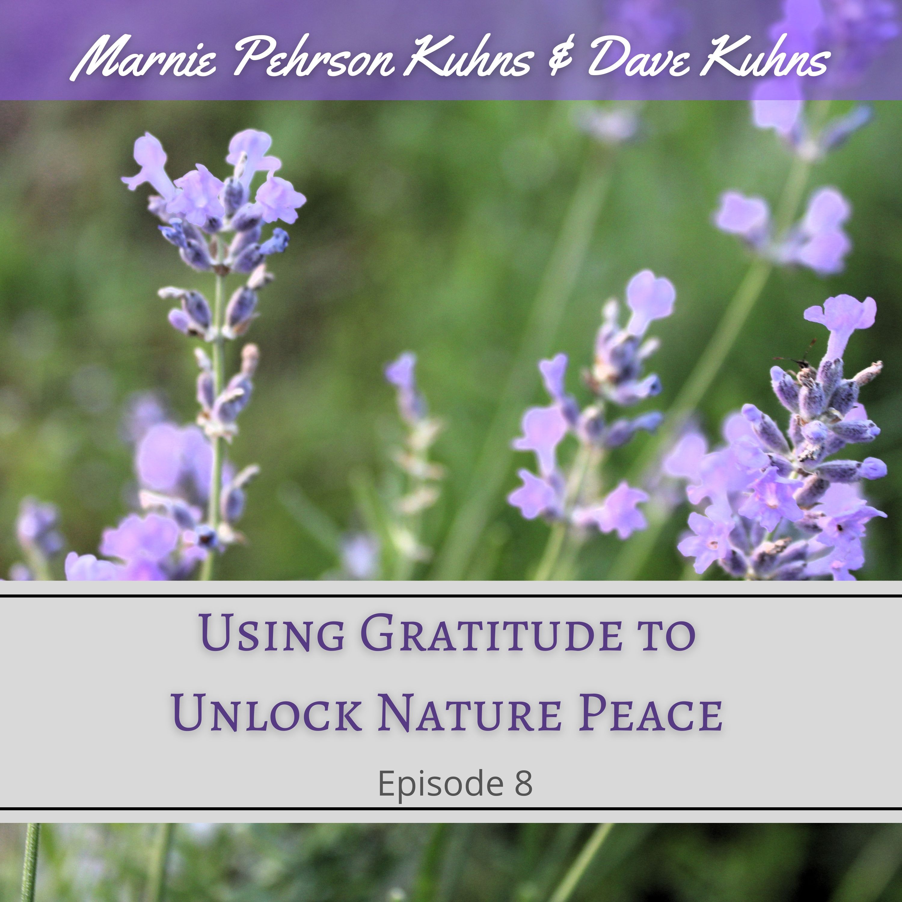Faith & Freedom Principles: Spirit-Led Life & Front Porch Sense Podcasts