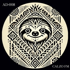 Anomaly Detection 008 - CALZO FM