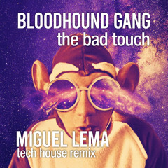 Bloodhound Gang - The Bad Touch (Miguel Lema Tech House Remix)