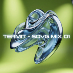 TERMIT - SDVG MIX 01 (Indie Dance)