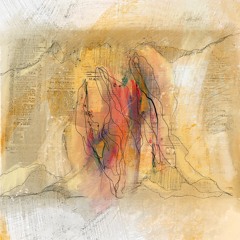 invisibilia disquiet0428