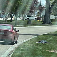 bts - serendipity (@astonmade edit) (2022)