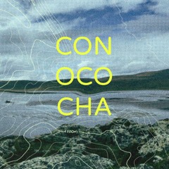 Laguna Conococha Soundscape 1 recorded with microphone Zoom H3vr