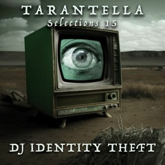 Selections 15 - DJ Identity Theft - Evergreens Mix