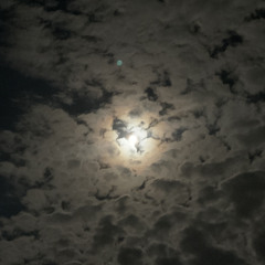 Қайдасың ғашығым