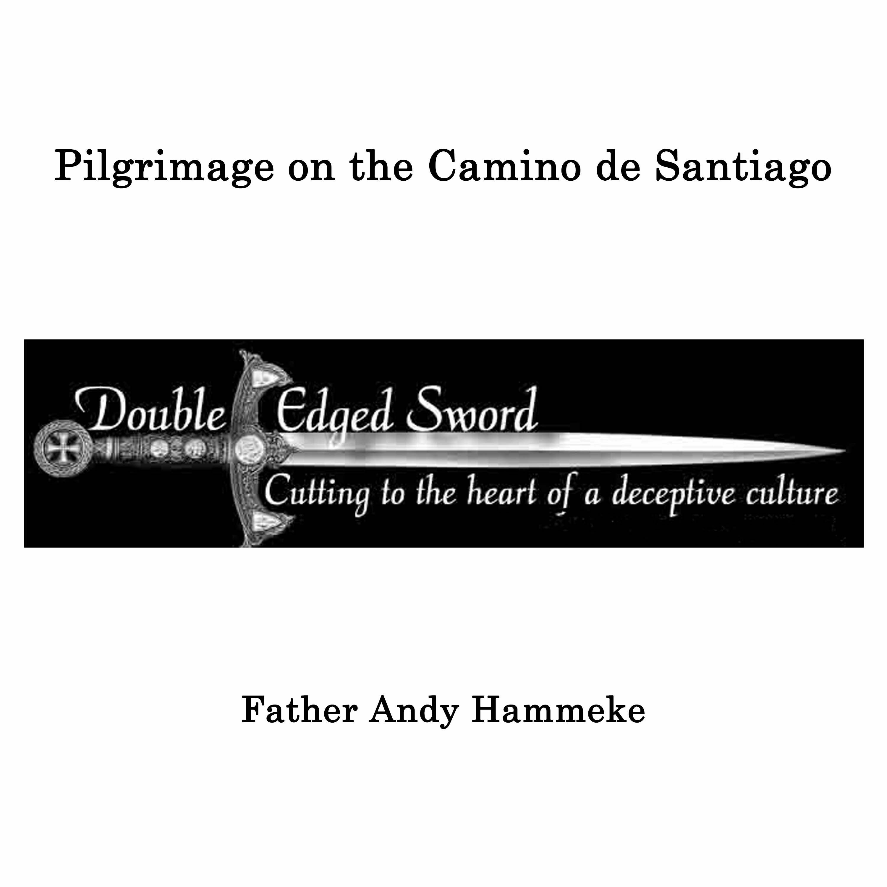 Divine Mercy Radio\'s Shows