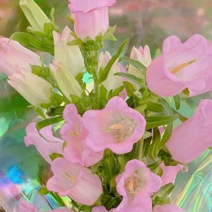 Kind Heart