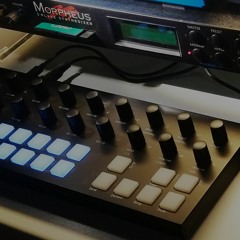 Torso Muzik