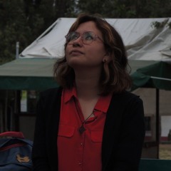 Nube Ámbar - Nunca más