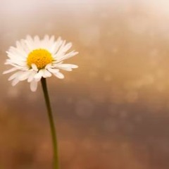 Conversations With The Passed part 1