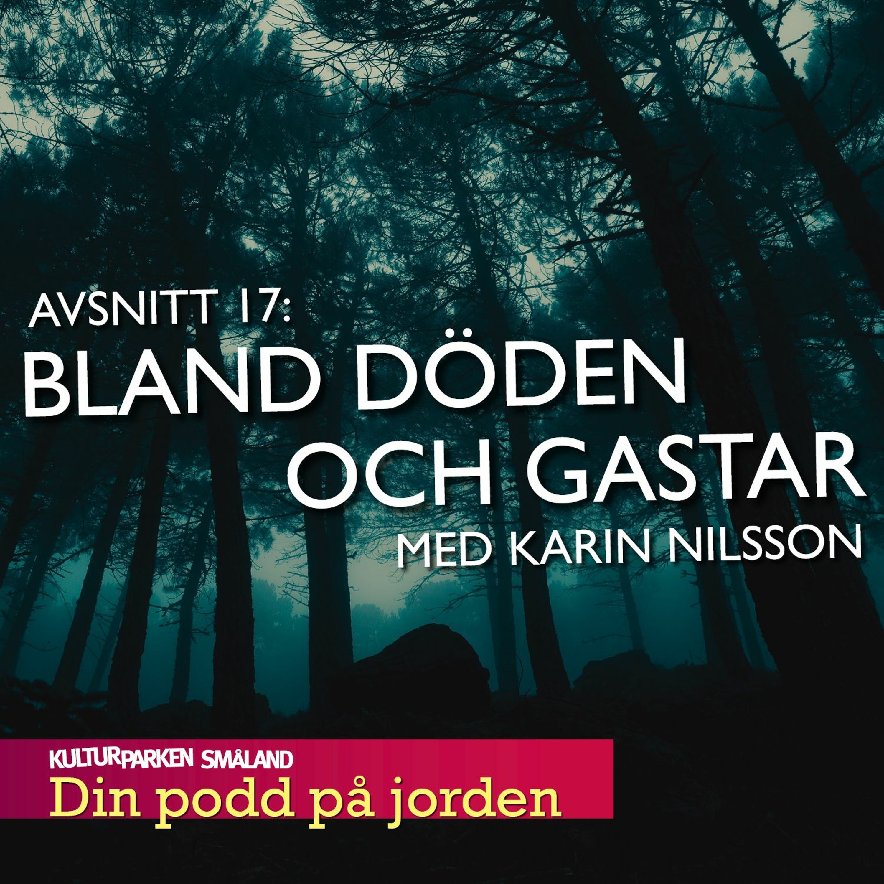Din podd på jorden
