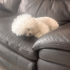 2hollis type beat (1)