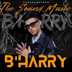 VNH - THE SOUND MUSIC - B'HARRY