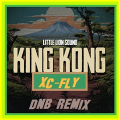 King Kong - "Stalag Riddim" - Little Lion - Drum and Bass Remix by XC-Fly Free Download