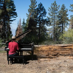 Piano In The Wild - Kings Canyon, Afternoon (Excerpt)